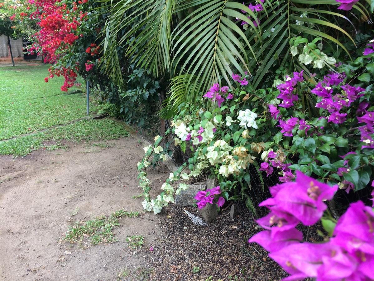 Villa Casa Colonial Terrea No Saco Da Capela Em Ilhabela Exterior foto